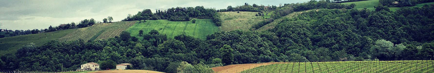 Marche
